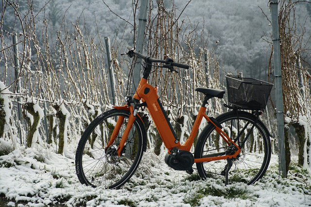 Gothenburg e-Bike